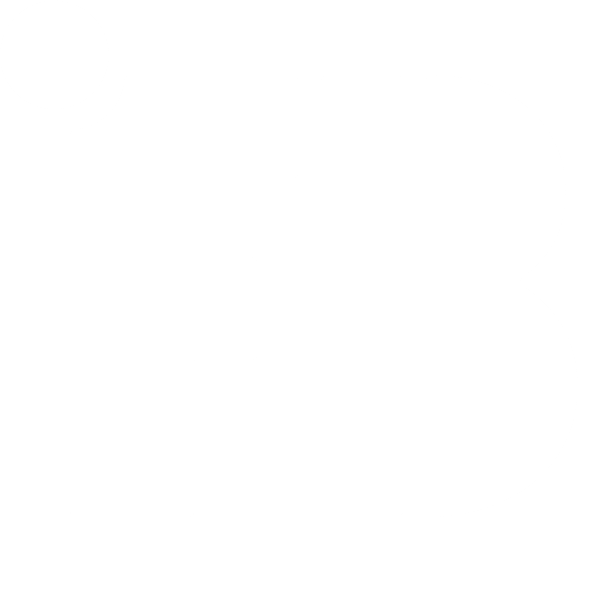 Flashback Media