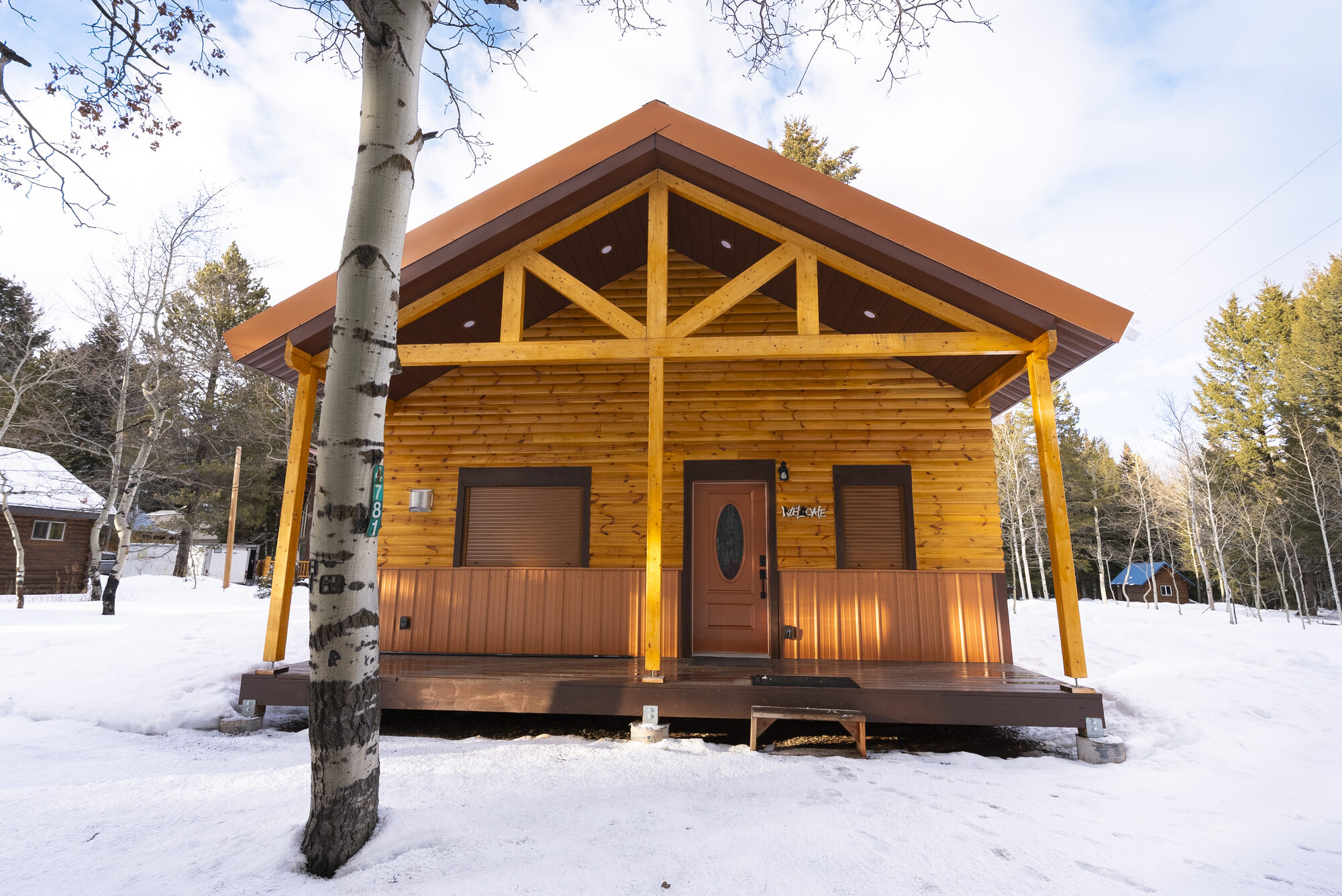 Log cabin front entrance in winter